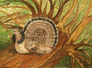 Grouse_Male