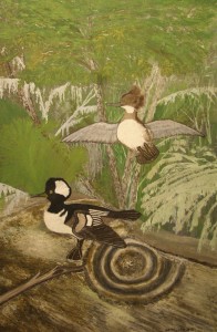 HoodedMerganser