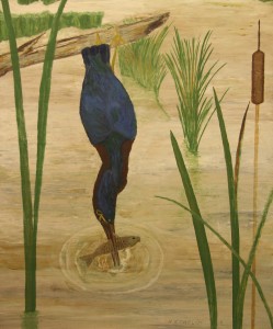 LittleBlueHeron