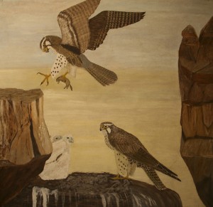 PraireFalcon