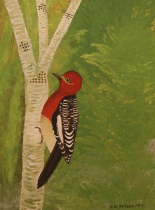 RedBreastedSapSucker