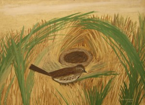 SongSparrow