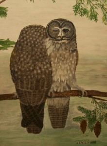 SpottedOwl